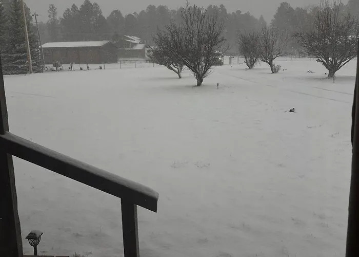 Warm And Cozy Retreat Pinetop-Lakeside